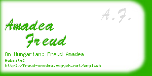 amadea freud business card